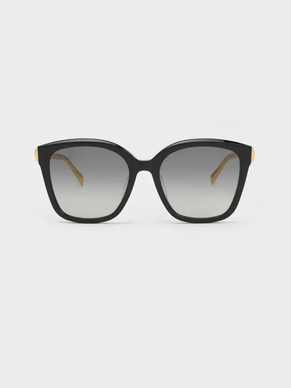 Women Oversized Square Acetate Sunglasses 8211 Black CHARLES and KEITH Square