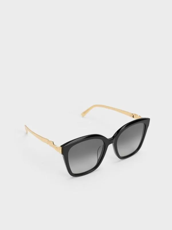 Women Oversized Square Acetate Sunglasses 8211 Black CHARLES and KEITH Square