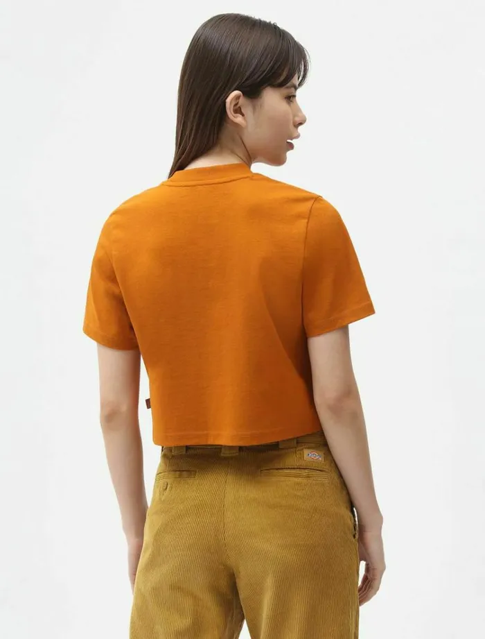 Women TShirts and Tops Dickies Porterdale Crop TShirt Pumpk Spice