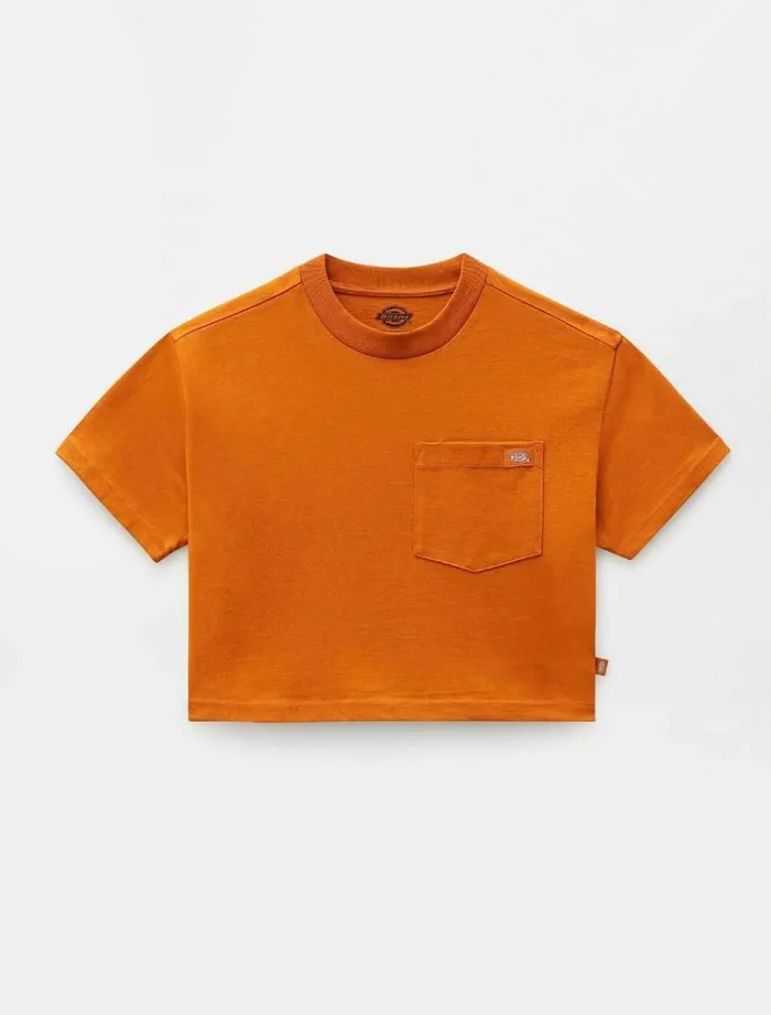 Women TShirts and Tops Dickies Porterdale Crop TShirt Pumpk Spice