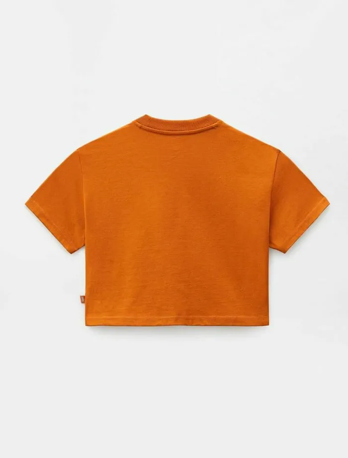 Women TShirts and Tops Dickies Porterdale Crop TShirt Pumpk Spice